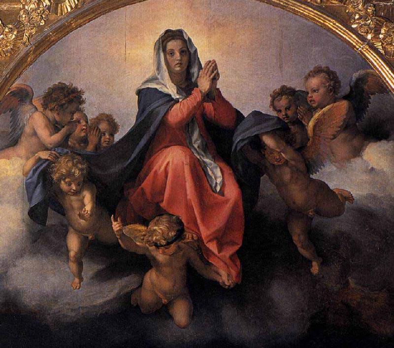 Andrea del Sarto Assumption of the Virgin oil painting image